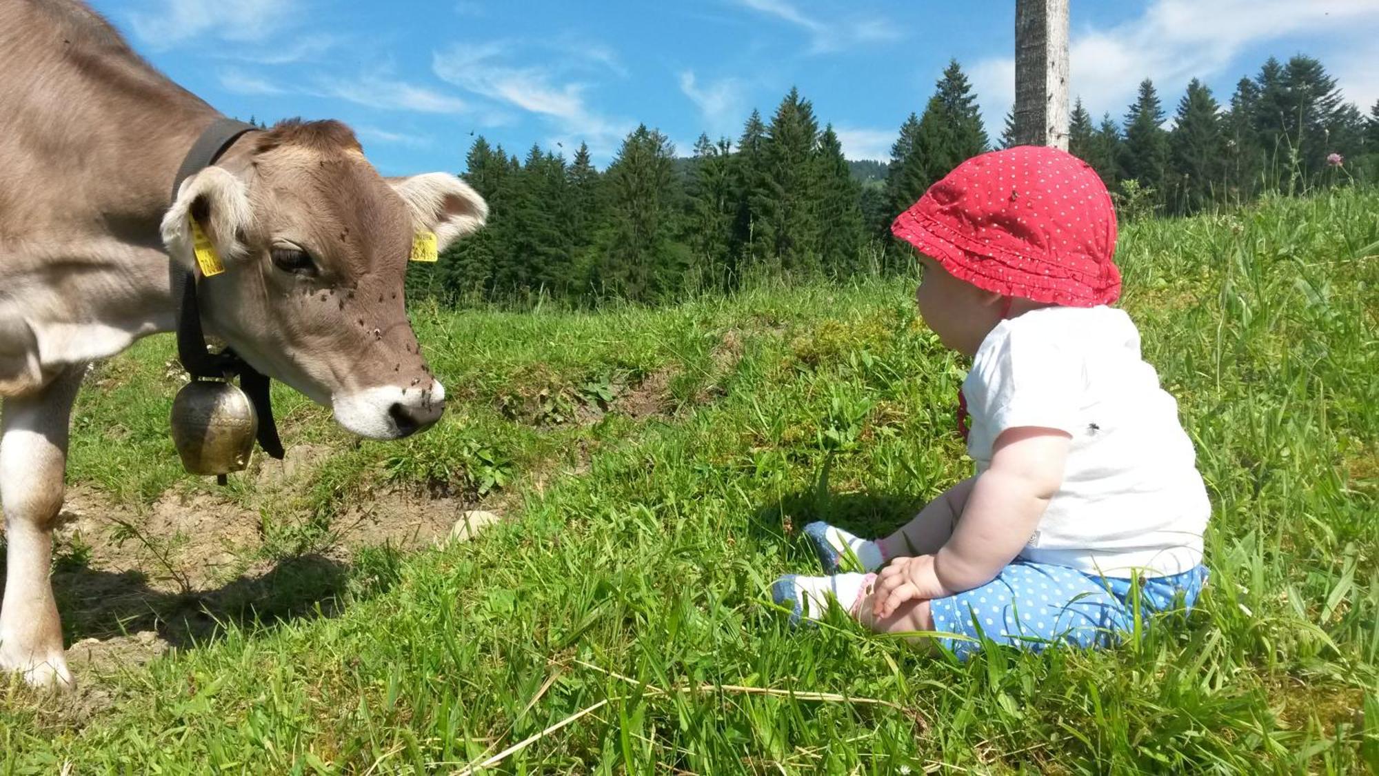 Ferienhof Duerlinde Hittisau Zewnętrze zdjęcie