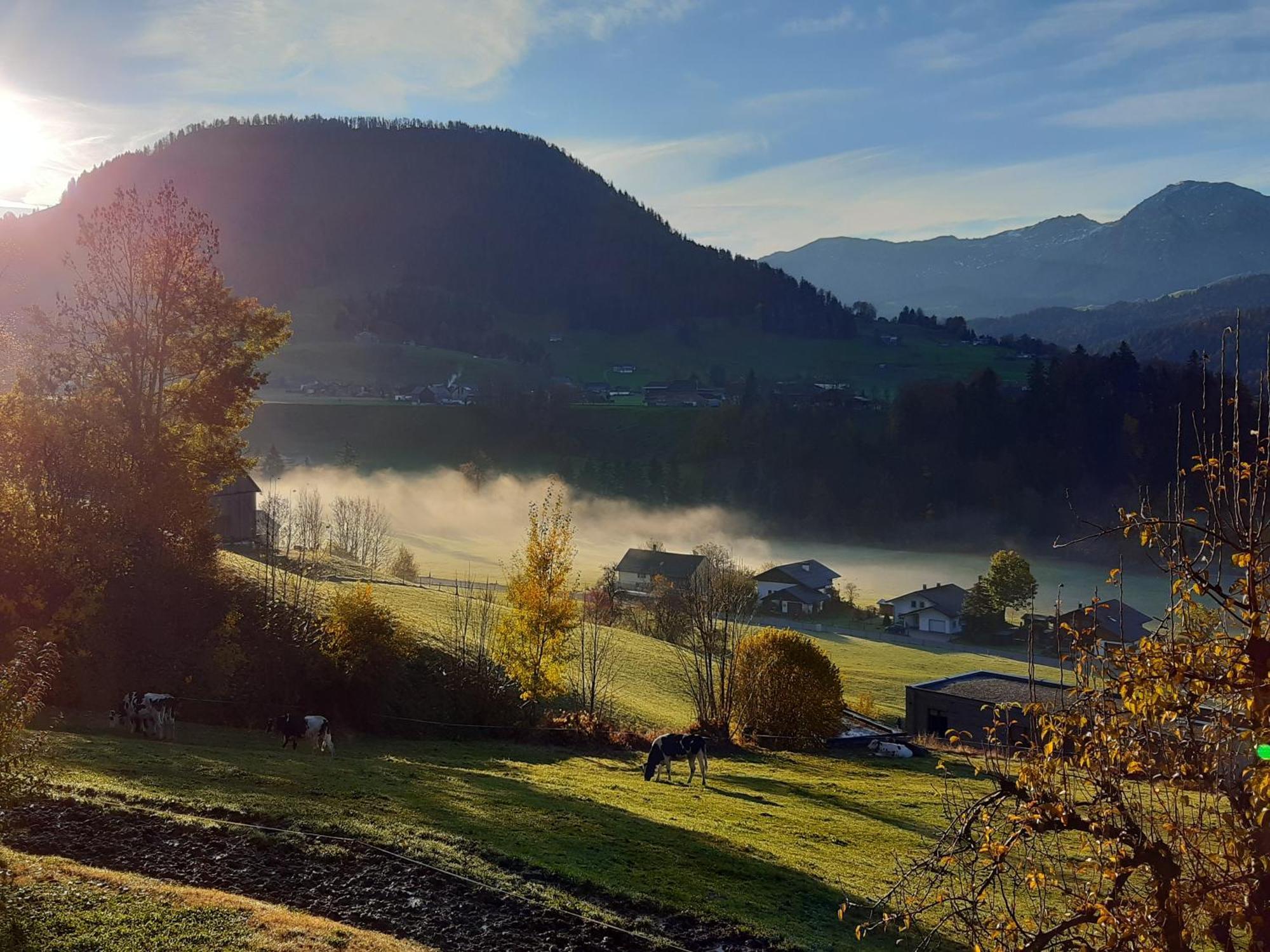 Ferienhof Duerlinde Hittisau Zewnętrze zdjęcie