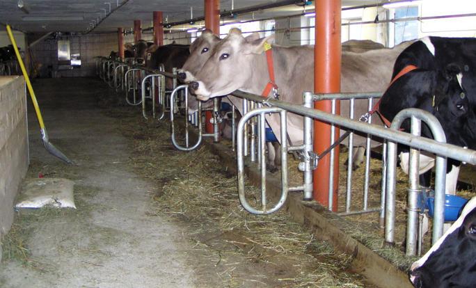 Ferienhof Duerlinde Hittisau Zewnętrze zdjęcie