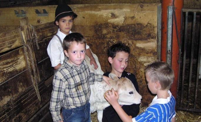 Ferienhof Duerlinde Hittisau Zewnętrze zdjęcie